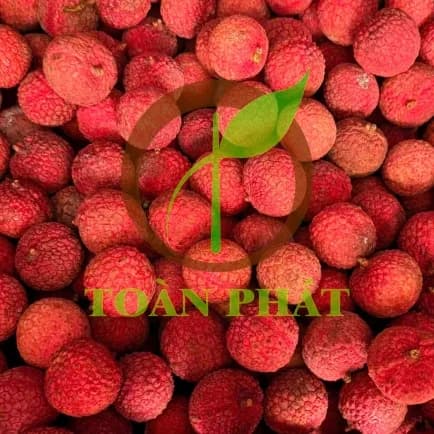 TOÀN PHÁT - VẢI NGUYÊN TRÁI CẤP ĐÔNG